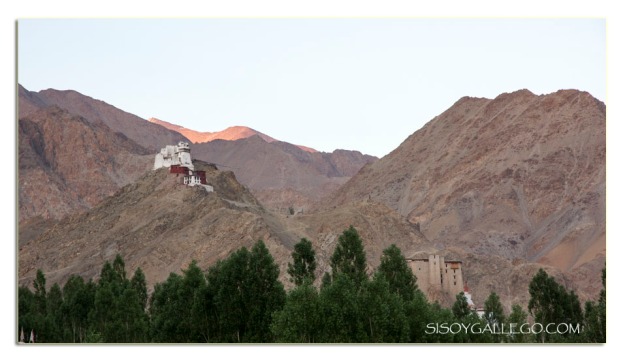 Monasterio Namgyal Semo en el pico de la montaña.