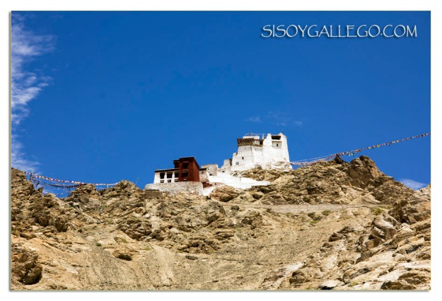 Larga ascensión al Monasterio Namgyal Semo.